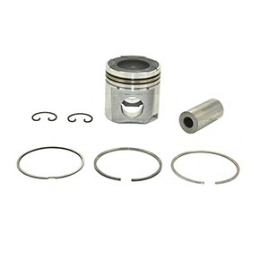 Caterpillar Piston & Rings, 1175063PK