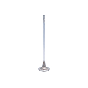 Cummins Intake Valve, 2869832