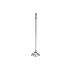 Cummins Exhaust Valve, 2869887