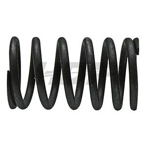 Deutz Valve Spring, 38004453