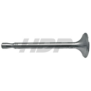 Deutz Exhaust Valve, 38004535