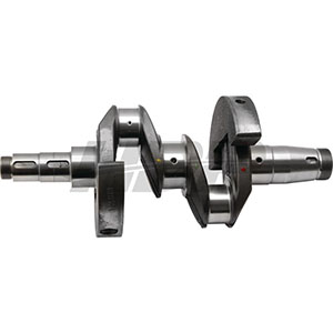 Deutz Crankshaft, 38004612