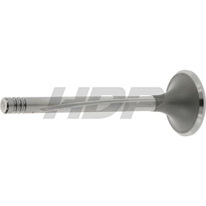Renault Exhaust Valve, 38006027