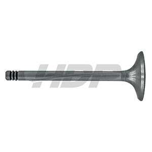 Renault Exhaust Valve, 38006039