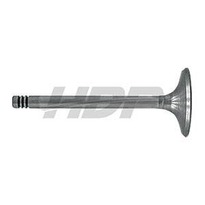 Renault Intake Valve, 38006040