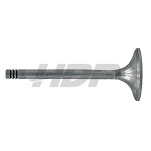Renault Exhaust Valve, 38006047