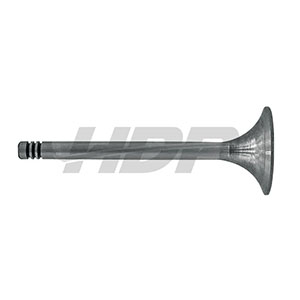 Renault Intake Valve, 38006052