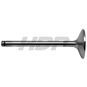 Fendt Exhaust Valve, 38006497