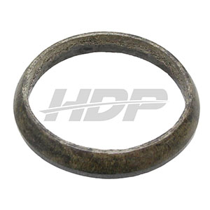 Fendt Sealing Ring, 38006547