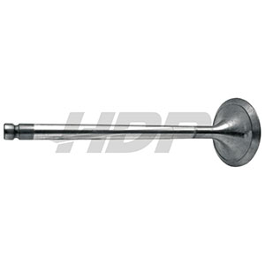 JCB Intake Valve, 38015516
