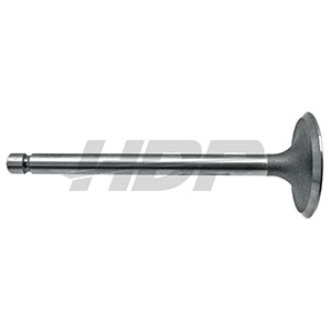 JCB Intake Valve, 38015587