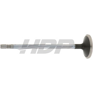 Case IH Exhaust Valve, 38017469