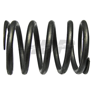Renault Valve Spring, 38018323