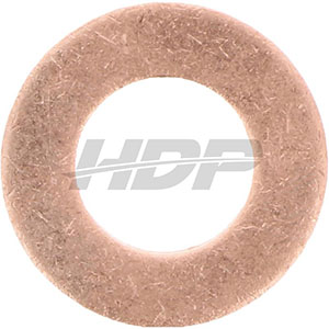 Renault Sealing Ring, 38018777