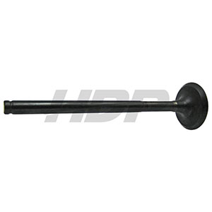 Same Exhaust Valve, 38019478
