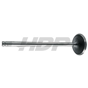 Same Intake Valve, 38019480