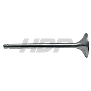 Steyr Exhaust Valve, 38021206