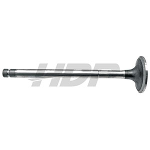 Valtra Valmet Exhaust Valve, 38022074