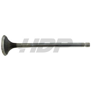 Valtra Valmet Exhaust Valve, 38022325