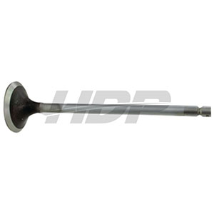 Valtra Valmet Intake Valve, 38022326