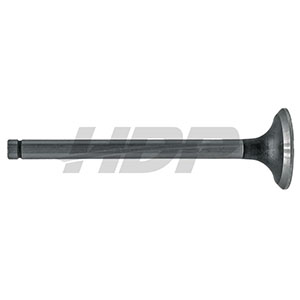 Zetor Exhaust Valve, 38023128