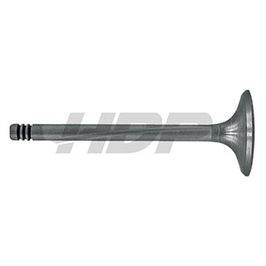 Fendt Exhaust Valve, 38060073