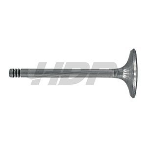 Fendt Intake Valve, 38060074