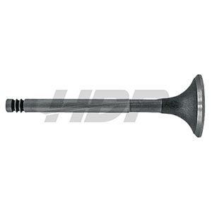 Fendt Exhaust Valve, 38060076