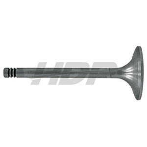 Fendt Intake Valve, 38060079