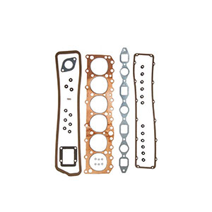 International Gas, LPG Engine C221 Head Gasket Set