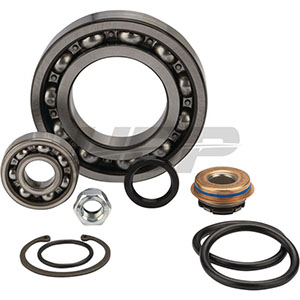 Massey Ferguson Water Pump Rebuild Kit, 74715596