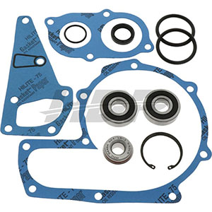 Steyr Water Pump Rebuild Kit, 74717210