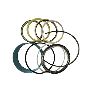 Caterpillar Hydraulic Seal Kit, 876654