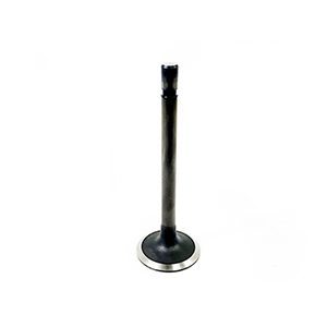 Kubota Intake Valve, 16241-13110