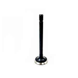 Kubota Exhaust Valve, 16241-13120