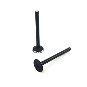 Kubota Exhaust Valve, 16484-13120