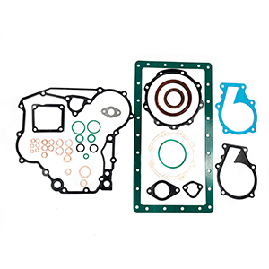 Kubota Lower Gasket Set, 1G089-99365