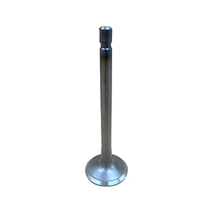 Kubota Intake Valve, 1G772-13114