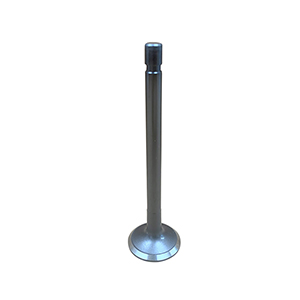 Kubota Exhaust Valve, 1G772-13125