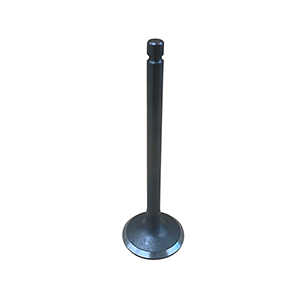 Kubota Intake Valve, 1J700-13110