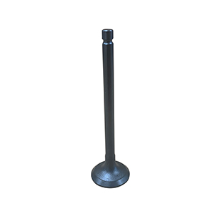 Kubota Exhaust Valve, 1J700-13120